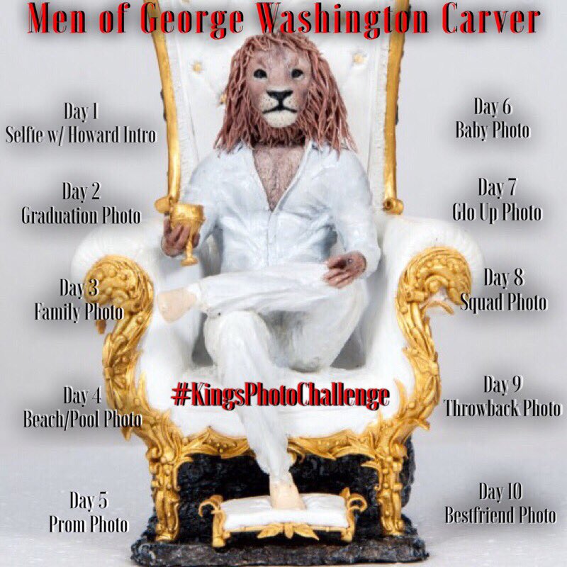 Theking_Buzz's tweet photo. #kingsphotochallenge #MOGWC https://t.co/rzq55SyV5t