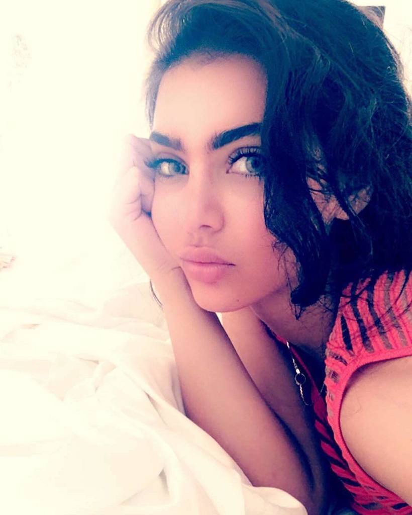 kareenRramirez's tweet photo. '
#قمر_��للبنانيه #فانز_قمر #فانز_الانمي #قمر
#amarfans #singeramar #singeramarfans #amarfans @singeramar #سناب_شات… https://t.co/9xY3mL78YL