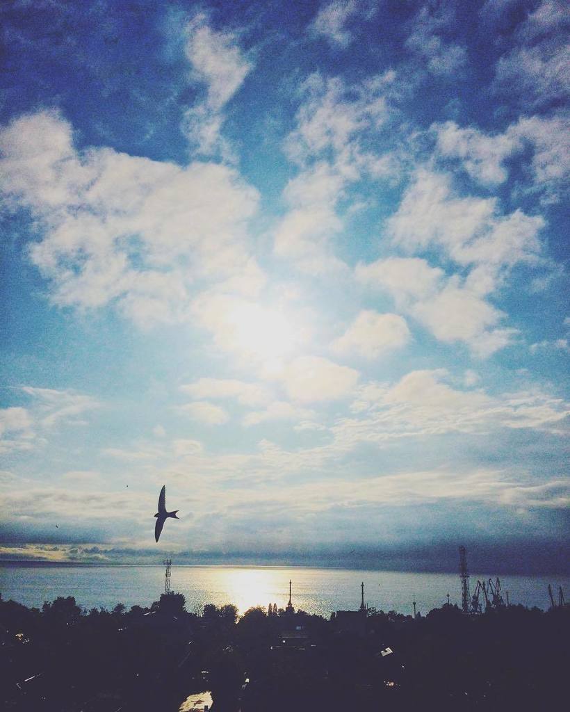 Всех с добрым чудесным утром☀️ и с первым днём лета!!! Урааа🌴🌴🌴🏖🏝🏖🏝 даже ласточка ради такого дела решила попасть в…
