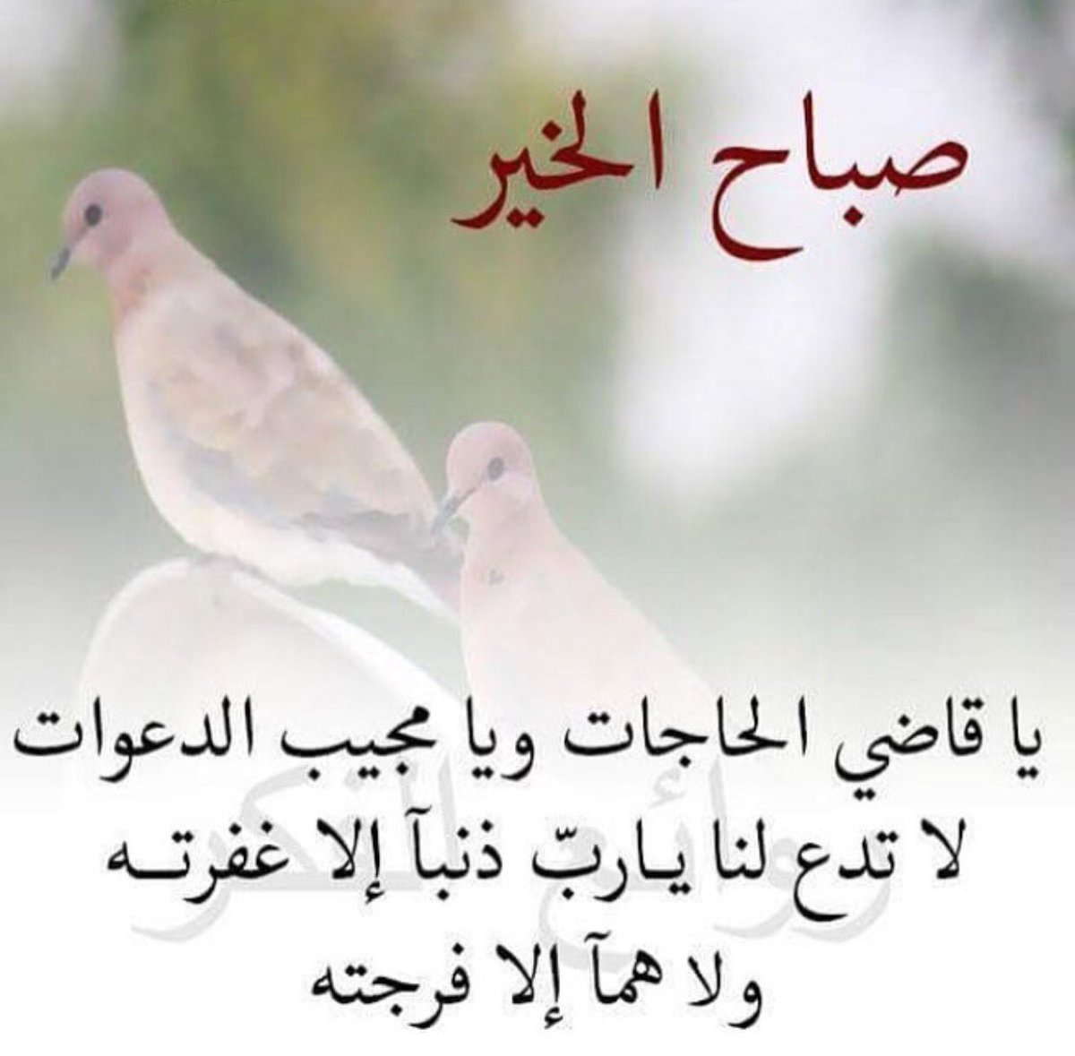 forever8613's tweet image. 