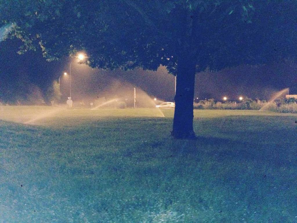 BotGCrise's tweet photo. Ça arrose à Blois ... A l heure du tout écologie il faudrait peut être dire au mec charger des espaces verts de cou… https://t.co/fVpReokGzW
