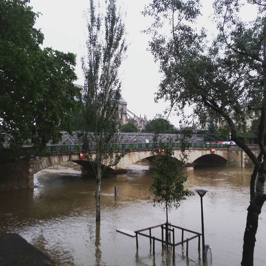BotGCrise's tweet photo. Derrière Notre Dame #inondation by missplanete https://t.co/a48aJg3uUN