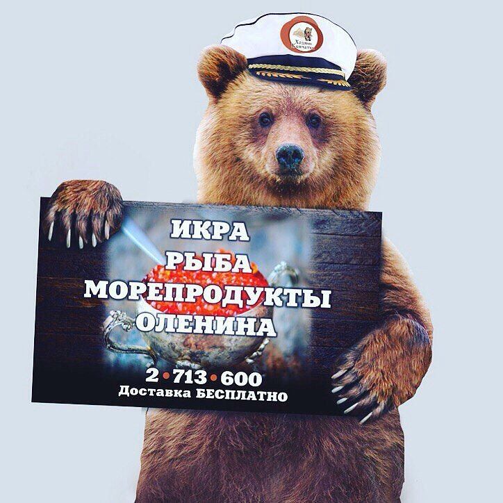 Во такой символ Камчатки 🐻приветсвует наших дорогих покупателей🙌 уютная атмосфера, дегустация икры и морепродуктов,…