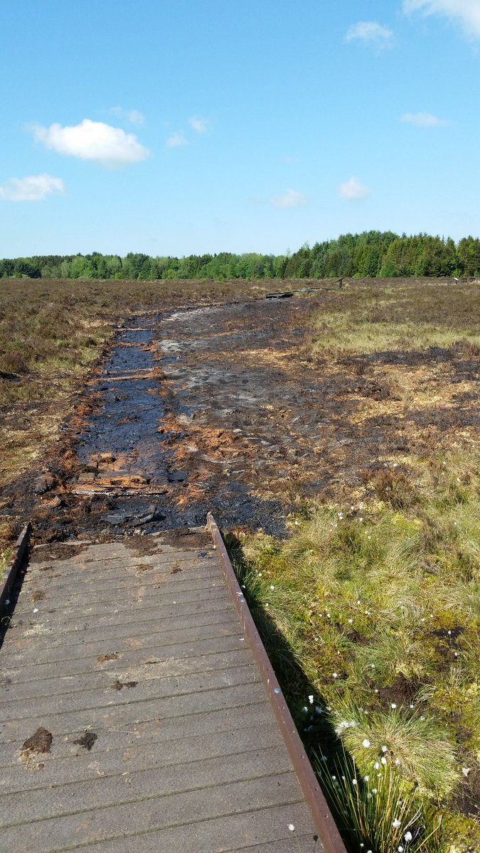 Fire damage to the boardwalk last night. Ruled as wilful. Anyone with info please contact 101. #eastkilbride