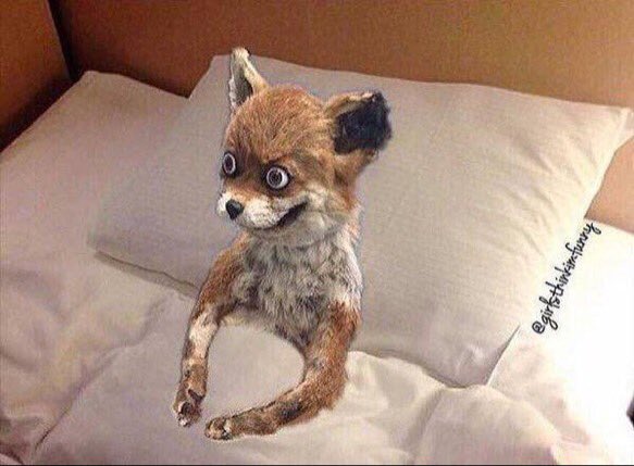 When ur alarm goes off and ur deciding whether to go to class or drop out