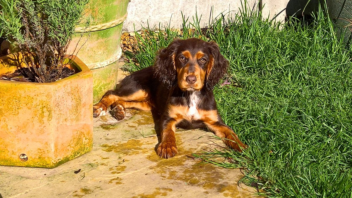 Rachel Hawley tweet media