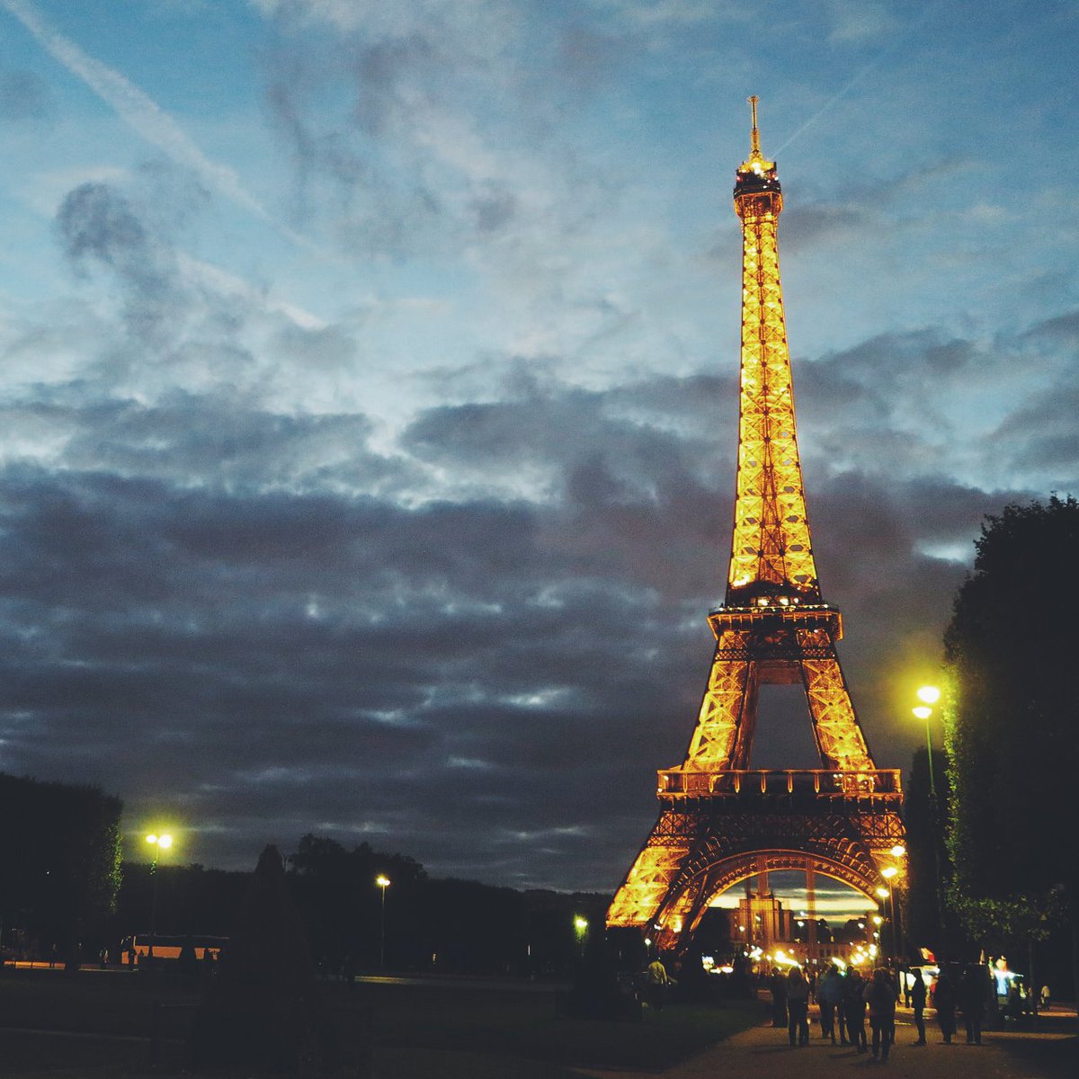 Intrepid Travel tweet media