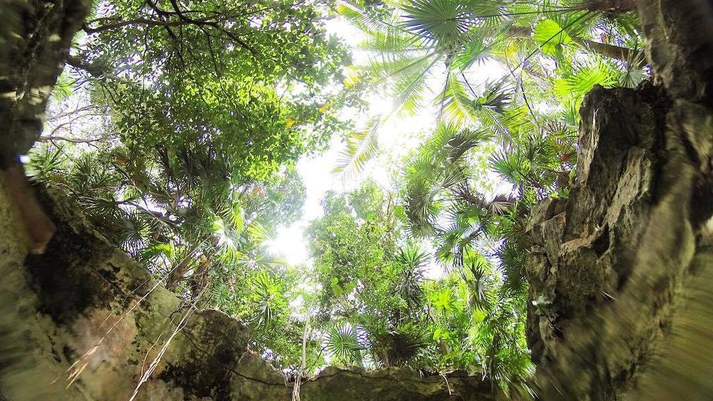 by @sergiobachurquiroga - ift.tt/1TWAzuX