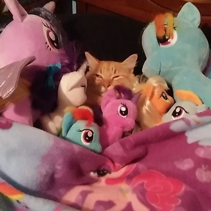 This face when he gets so tired 😂 #naruto #mylittlepony #raimbowdash #rarity #twilightsparkle by naruto7732