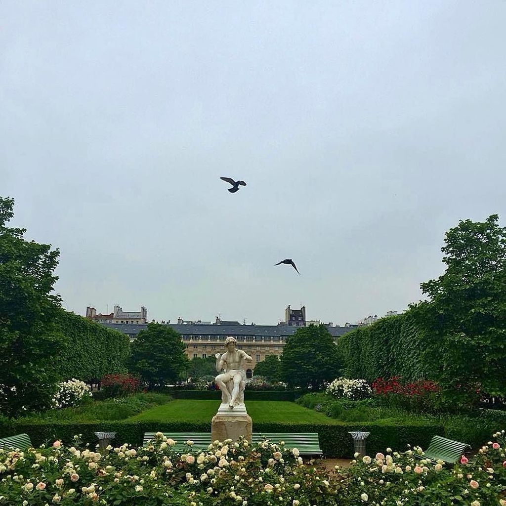 #morning#parisjetaime#palaisroyal
#paris#walk#home#garden#trees#landscape#tuilerisgarden#m… ift.tt/1TWBgUU