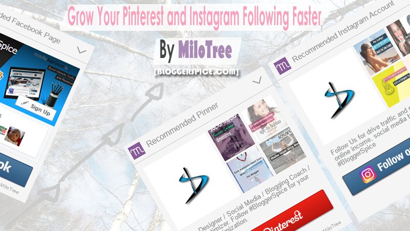 bloggerspice's tweet photo. Grow Your #Pinterest & #Instagram Following faster By #MiloTree https://t.co/ZHM3NnIim3 via @BloggerSpice #Blogging https://t.co/sVOXbTekfs