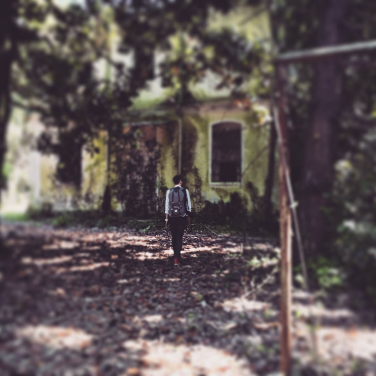 somewherefvg's tweet photo. Give up with me. #somewherefvg #fvglive #humuspark #landart #pordenone https://t.co/xpGwteJrZt