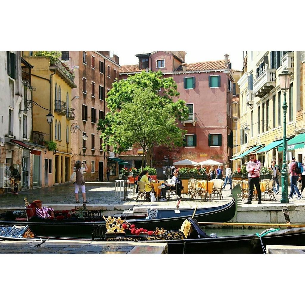 Venice tweet media