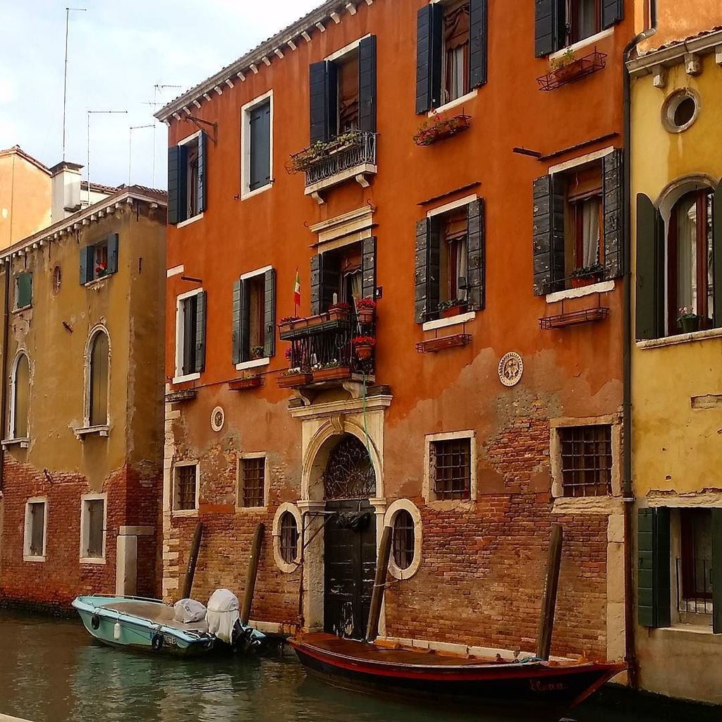 Venice tweet media