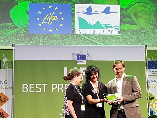 David_Bodega's tweet photo. Este premio Best of the #BestLifeProject2015 al Life+ #VENENO es también de la #UNIVE de CLM https://t.co/pTmuFIhcUr https://t.co/3lCCzbe7WU