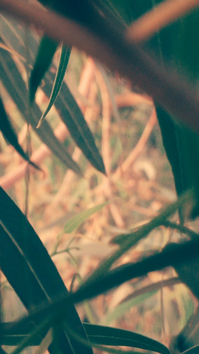 ZezoReda14's tweet photo. تصويري 💪💪 https://t.co/DEn7E3ozk1