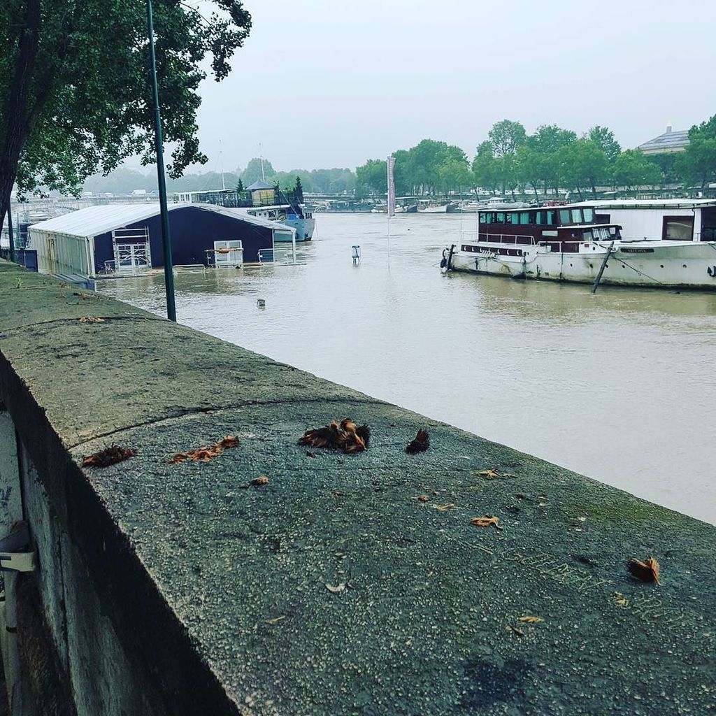 BotGCrise's tweet photo. 😨😨😨 #paris #inondation #seine by gsy_k https://t.co/TWExqkbN54