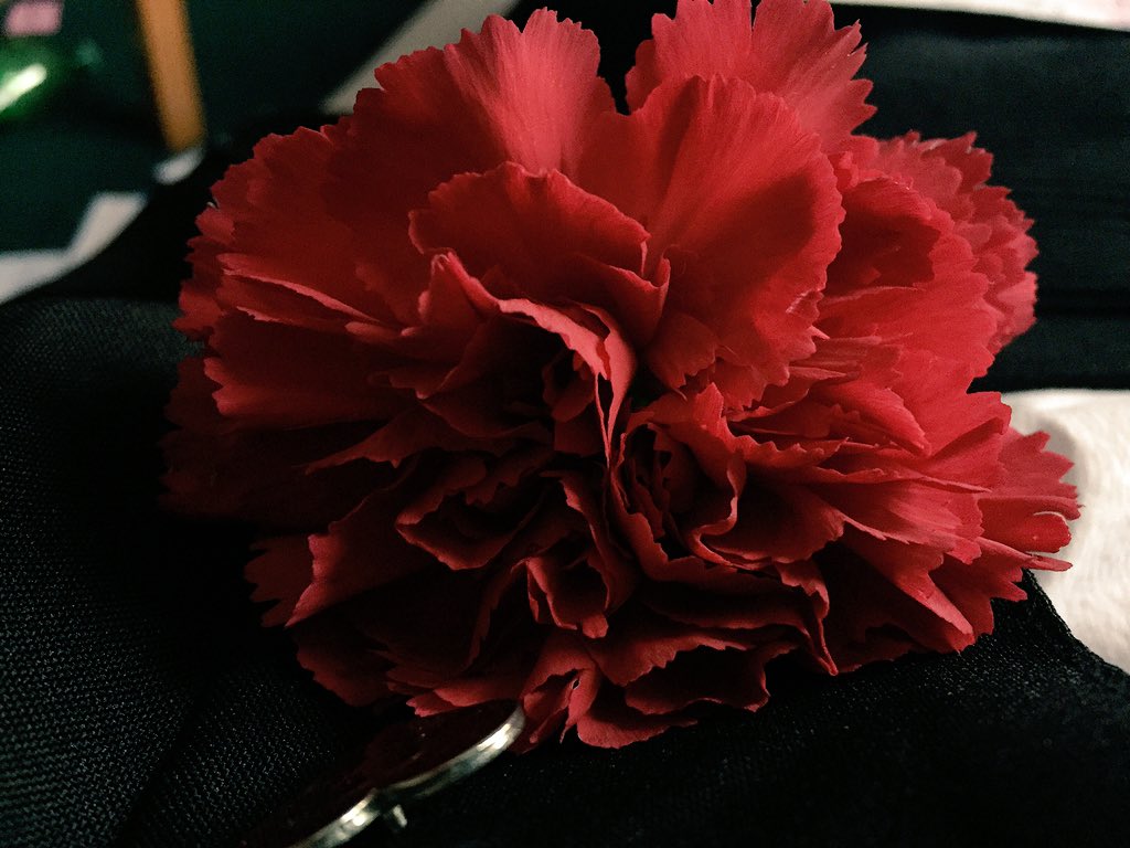 Oxford EarthSciences (@oxearthsciences) on Twitter photo Finally! Red carnation can mean only one thing #lastexam #OxTweet Finally! Red carnation can mean only one thing #lastexam #OxTweet