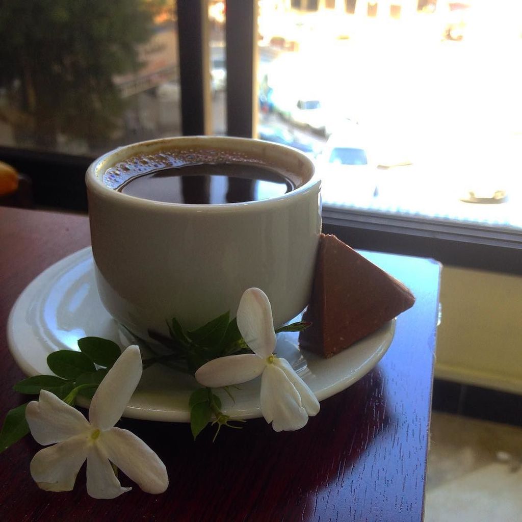 InstaLatakia's tweet photo. Good Morning ☕️🌞 #syria #latakia #morning  #work  #coffee  #morningcoffee  #jasmine #choco… https://t.co/bYI3cKiDiK https://t.co/G85DrC2Akt