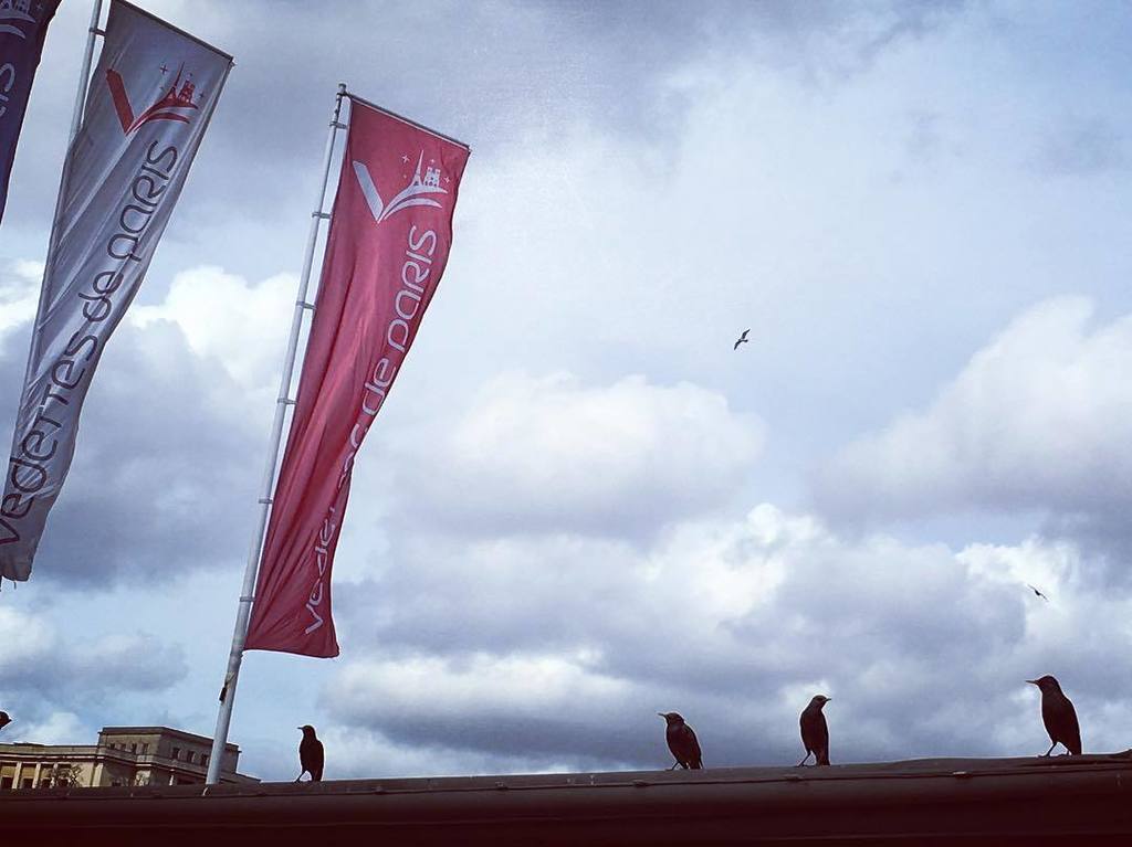 You wanna fly, you got to give up the shit that weighs you🐣🐥🐤🌾🌾down.#june#freedom#flyhigh#… ift.tt/1XeR5dQ