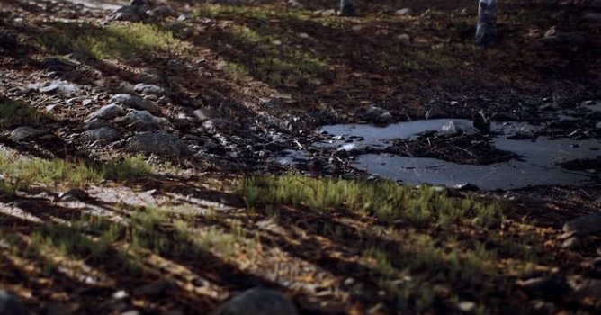 3ddesignmodels's tweet photo. UE4 - Forest - https://t.co/CdTMvghKoe https://t.co/gV6c651TAz