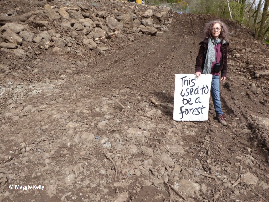 corravare's tweet photo. @Reforestnation This used to be a forest. My blog https://t.co/3vQRCjppjo on #art #reforesting #landownership PlsRT https://t.co/ePH4f3Hia8