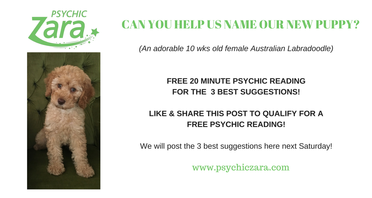 psychiczara's tweet photo. WIN A FREE PSYCHIC READING! #dogsoftwitter #puppy #psychictwitter #1stofJune #London #Edinburgh #Wales https://t.co/TeqRLdW3O6