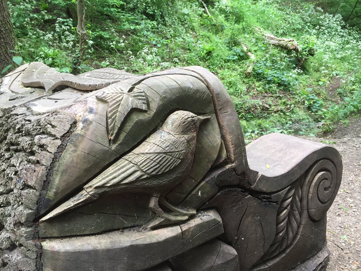 Sam__Thomson's tweet photo. Lovely to see so many children & families enjoying #Badocks Woods yesterday pm @bristolparkhive #nature #parks https://t.co/1fGplryiEE