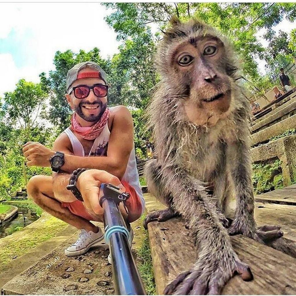 This monkey got swag, looks like he's about to spit a freestyle 😎🎤🎵😂😂😂.🐵🐒
•
•
•
•
