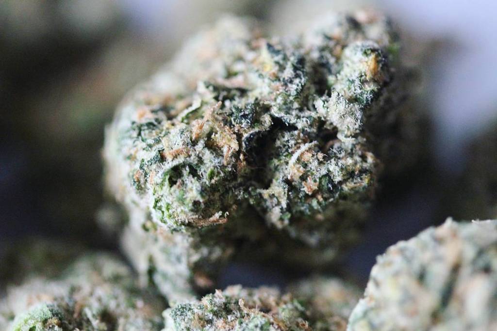 ift.tt/1Vv4ZXr by 420treelifee