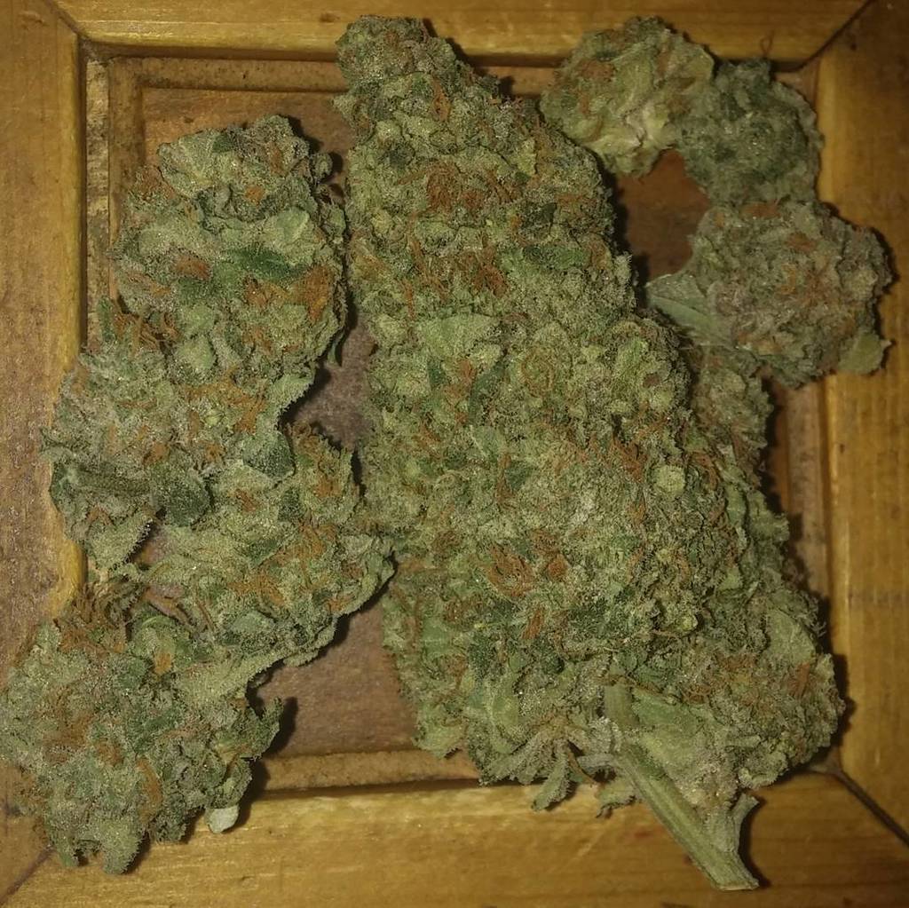 ift.tt/1O4mts3 by droboyfresh505