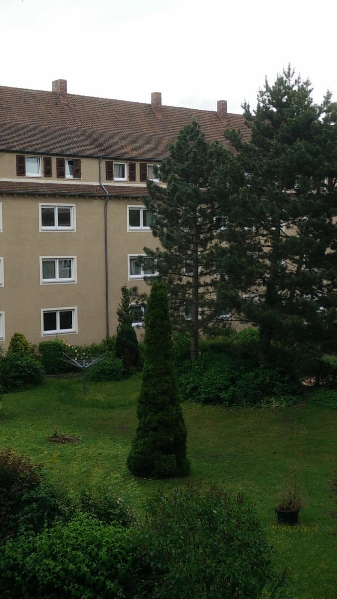 MissRahulDravid's tweet photo. Beautiful morning from #Erlangen. #EuroTrip #QueenDiaries #Ttot https://t.co/Ryry7oxn65