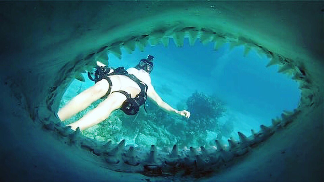 Action_Mounts's tweet photo. Jaws #gopro #awesome #lifestyle #selfie #swim #horror https://t.co/lUSIEnS5tQ