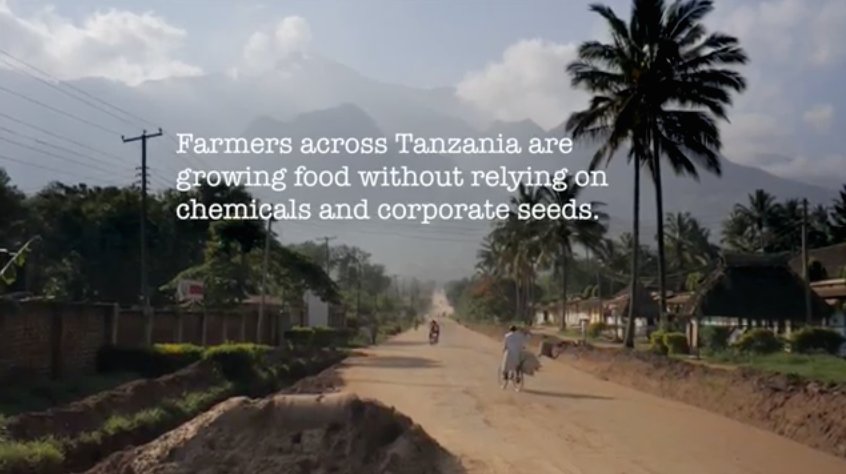 Fighting for Seeds and Soil. #Tanzania's farmers who choose #agroecology: goo.gl/pIjiZH <a href="/GlobalJusticeUK/">Global Justice Now</a>