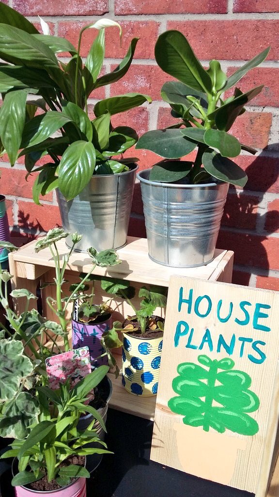 _makersmarket's tweet photo. New entry to #Cheadle this Saturday! The awesome @shrubbiesplants will be joining us! Welcome onboard! 🌱🌻 https://t.co/Sp3RXPSOWd