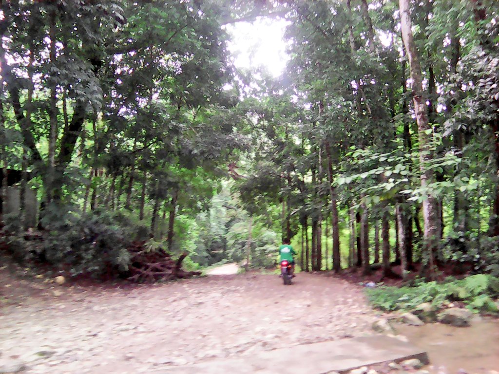 skaterlourd_16's tweet photo. A Nature to be treasured.
#exploringtheNature@cpsu๐ด๐ฒ๐น๐ธ
#june1 https://t.co/kJKvwWaoh6