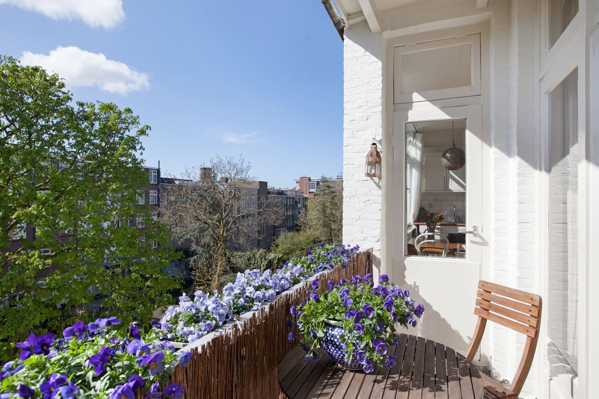 Sander van Duijn tweet media