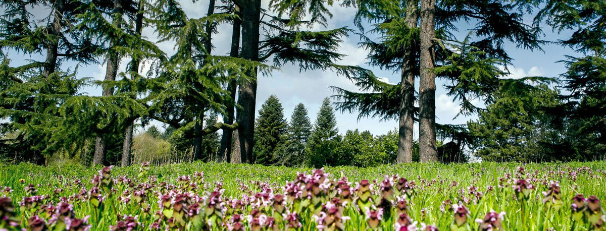 lEchotone's tweet photo. Ne manquez pas les 2e journées de l'Arboretum de Chèvreloup ce weekend ! https://t.co/RXDm38GoK3 https://t.co/aQoyfucCvD Le_Museum