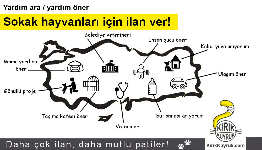 kirikkuyruk's tweet photo. Sokak hayvanları için ilan ver! Daha çok ilan, daha mutlu patiler! Ücretsiz https://t.co/lwGUjfcg3T simgeler:Freepik https://t.co/qvPcjHP4Dh