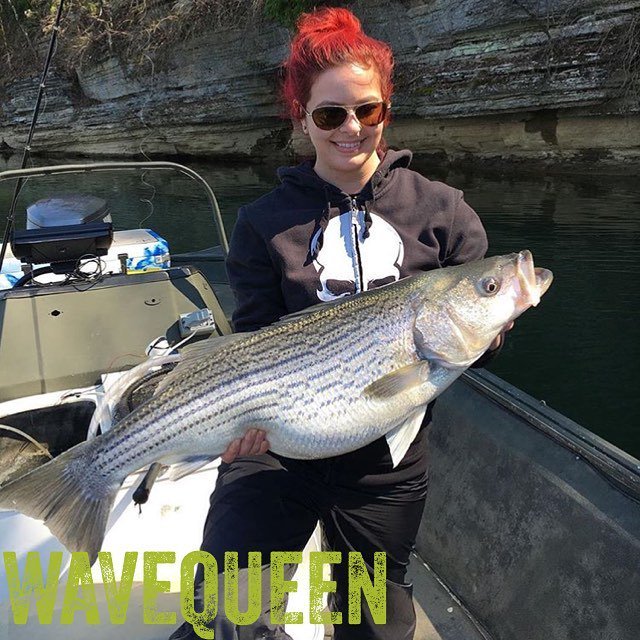 FishFemmes's tweet photo. by @wavequeen https://t.co/bGg9Y2Q7GR