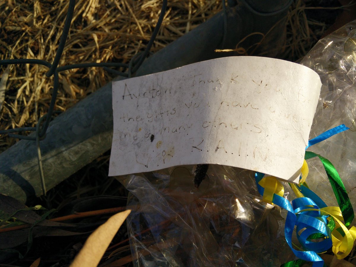 DanielF1h's tweet photo. Cute message left by the Ayrton Senna's memorial- "Thank you for the gifts you have given me and others." #Adelaide https://t.co/ARdq5NiPLt