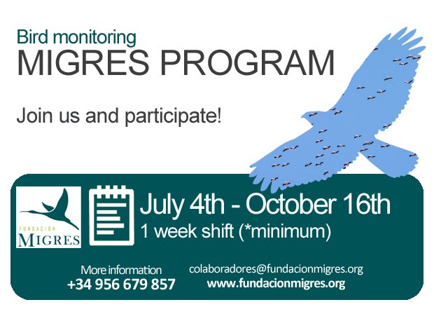 FundacionMigres's tweet photo. Are you interested in bird migration? Join us! #ProgramaMigres More info:  https://t.co/qFAnq1NRkz https://t.co/vqEcxjBuz9