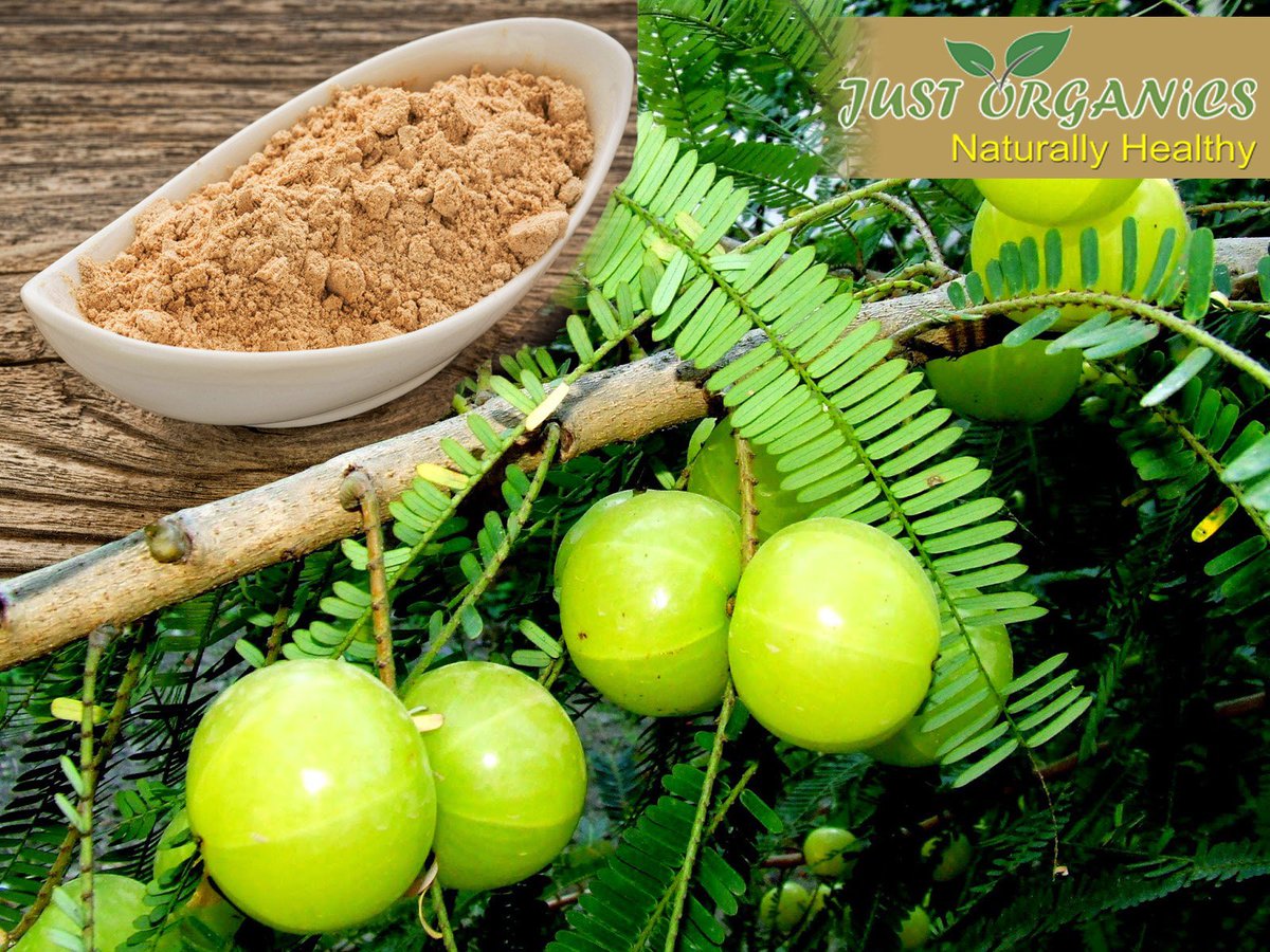 organics_just's tweet image. Organic Amla Powder with values. #organicamla #amla #amlapowder #organic #organicvalley
facebook.com/Just-Organics-…