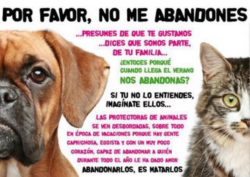 SantomeraNews's tweet photo. Recuerda que ellos no lo harían. https://t.co/k2lzrqnIGH