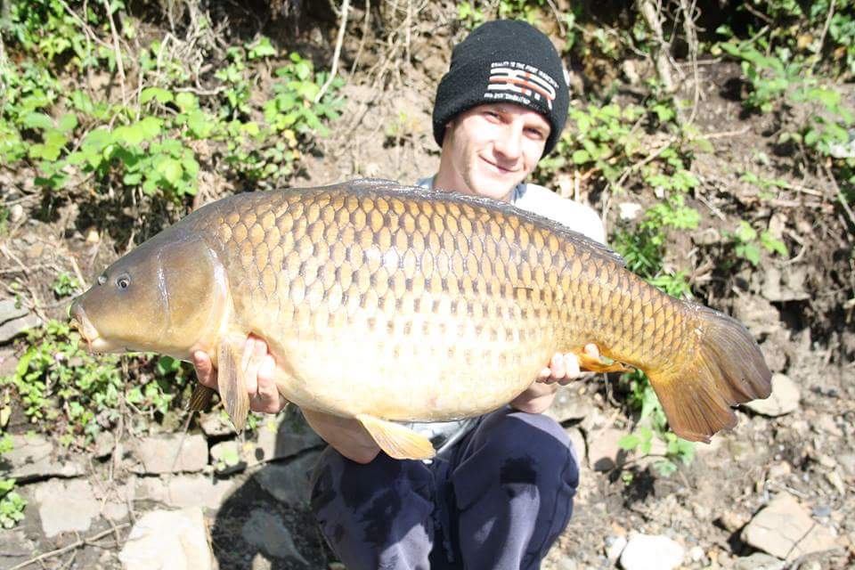 krisjenx123's tweet photo. 25lb2oz #bbrmunchers #deceptionangling #camocarpy #bartonsleads https://t.co/xsdE31kN4w
