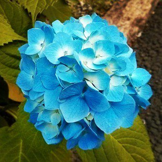 by <a href="/goora_hiro/">hiro goora</a> 💐
-------------------------------------------------------
#yummy #beauty #Island #sky #Travel #花 #tr…