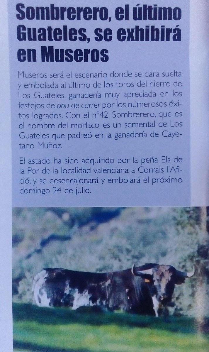 PurezayCasta's tweet photo. Sombrerero, el último Guateles, se exhibirá en Museros (Valencia). https://t.co/0TY4DFlhkF