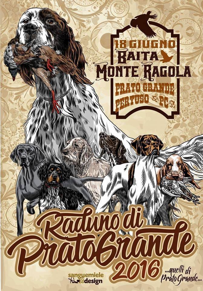 field_bread's tweet image. Gun Dog Trial in Italy fieldbread.com/gun-dog-trial-…