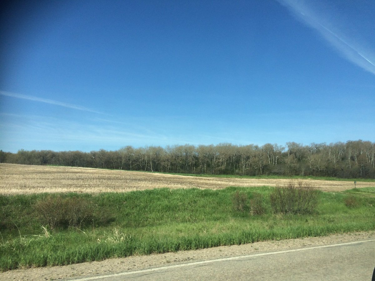 Beautiful morning! Love my quiet Wed drives to work - coffee, podcasts &amp; sunshine #decidetodaywillbegreat