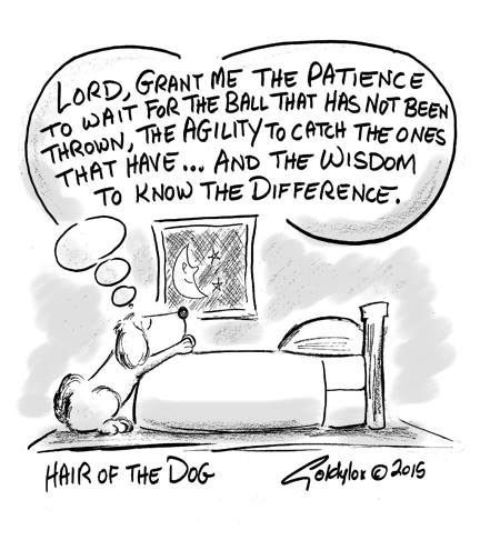 hofthedogcomic's tweet photo. #WednesdayWisdom https://t.co/6Xym5QyBln